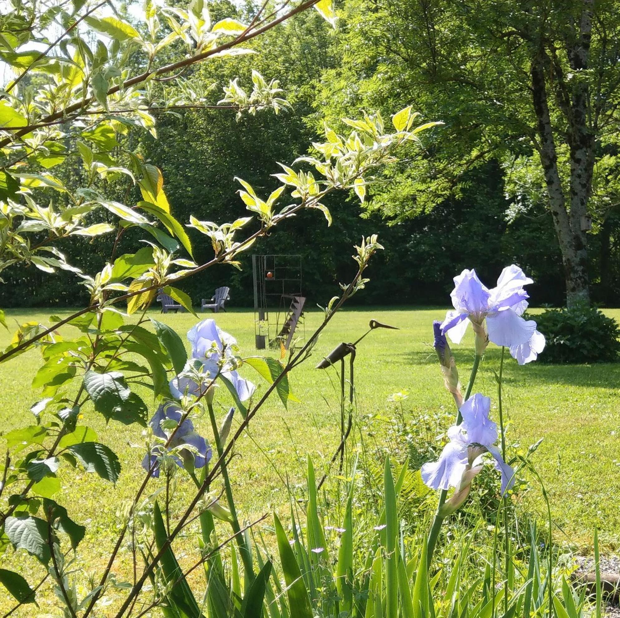 Domaine De L'Olifant Bed & Breakfast Champanges Exterior photo