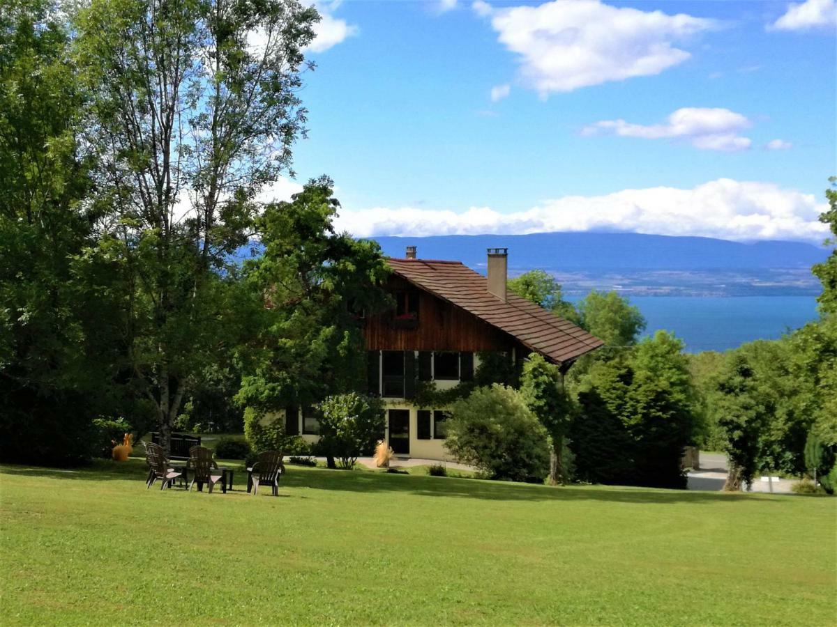 Domaine De L'Olifant Bed & Breakfast Champanges Exterior photo